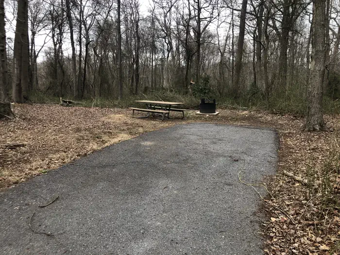D131