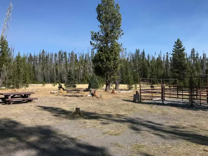 026 - 4 Horse