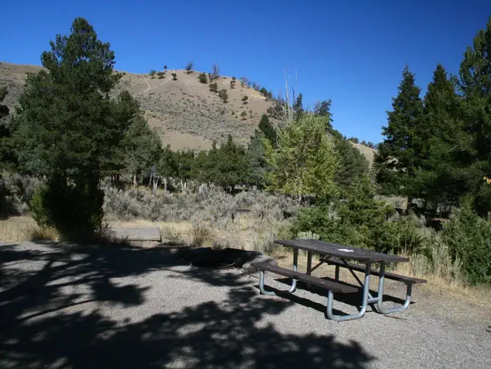 Mammoth site #85