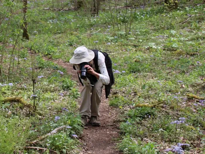 Whiteoak Sink Group Hiking Permits