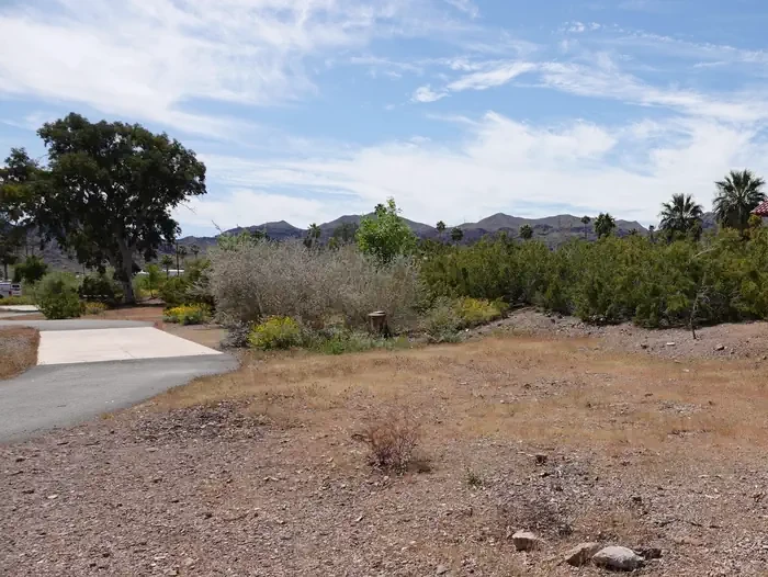 Site 1