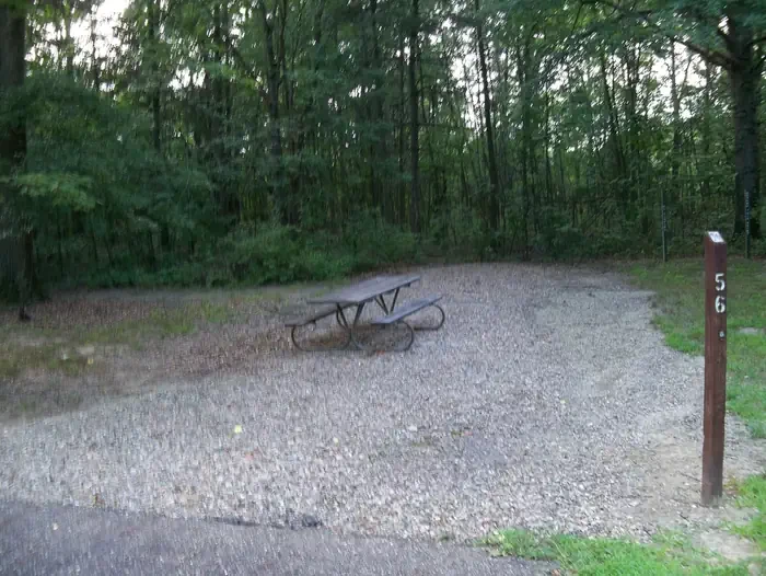 O56