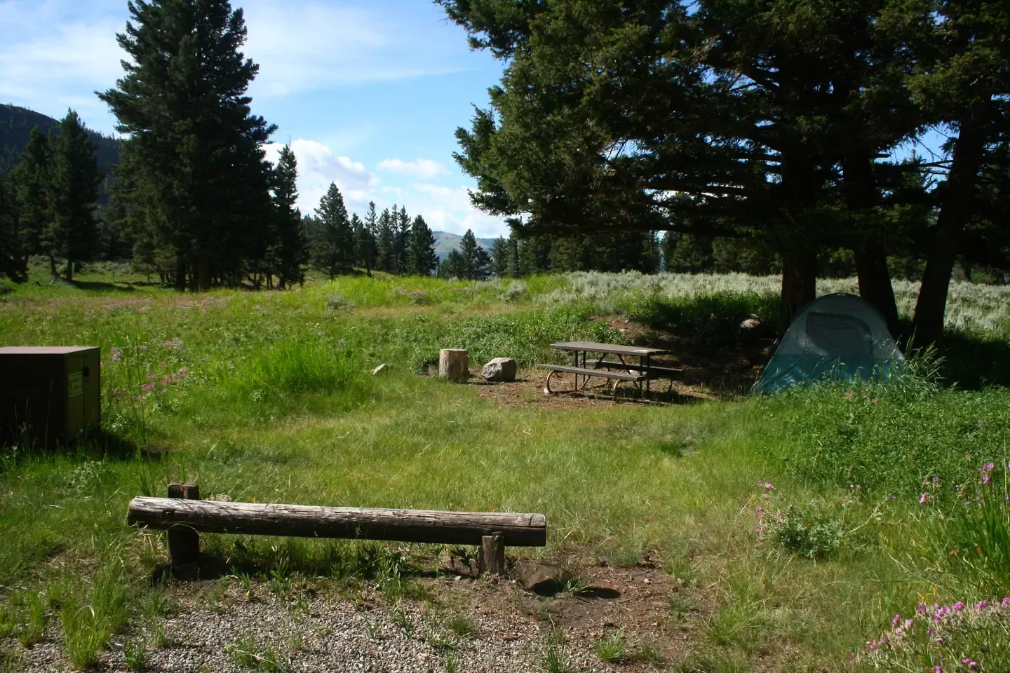 Slough Creek site #8