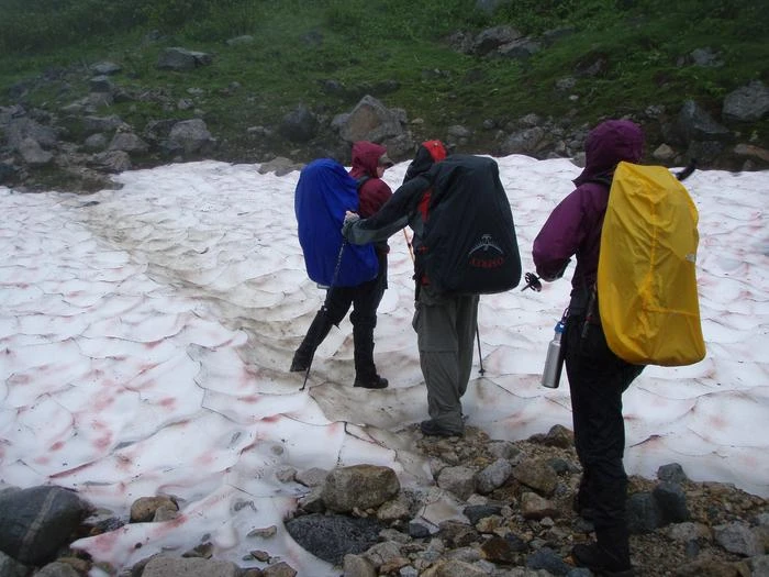 Chilkoot Trail Camping Permits