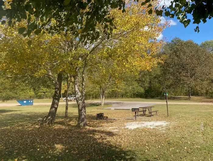 Site# 11