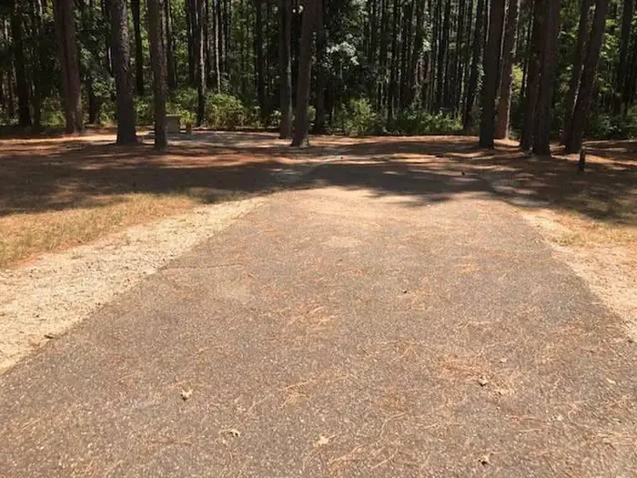E18