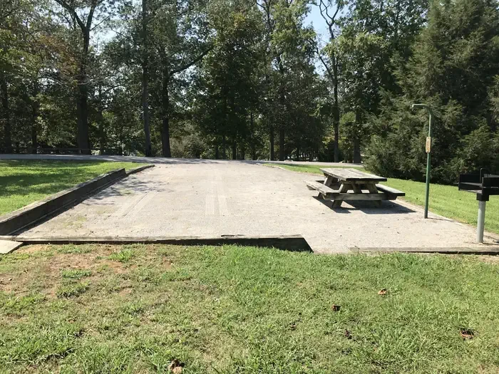 79