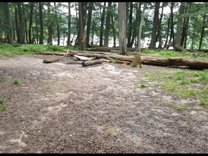 BOBCAT
