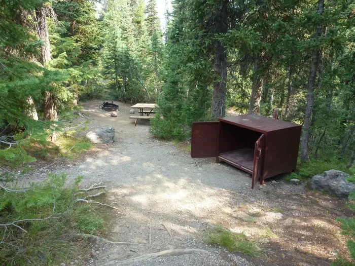 Lewis Lake site #74
