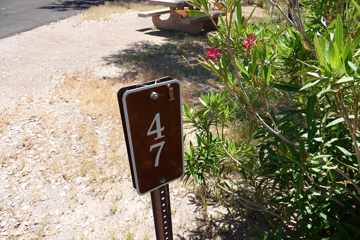 Site 47