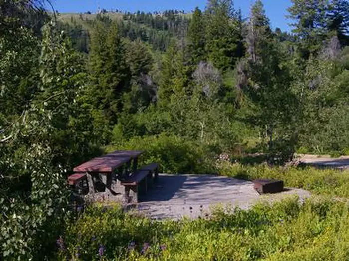 Shafer Butte