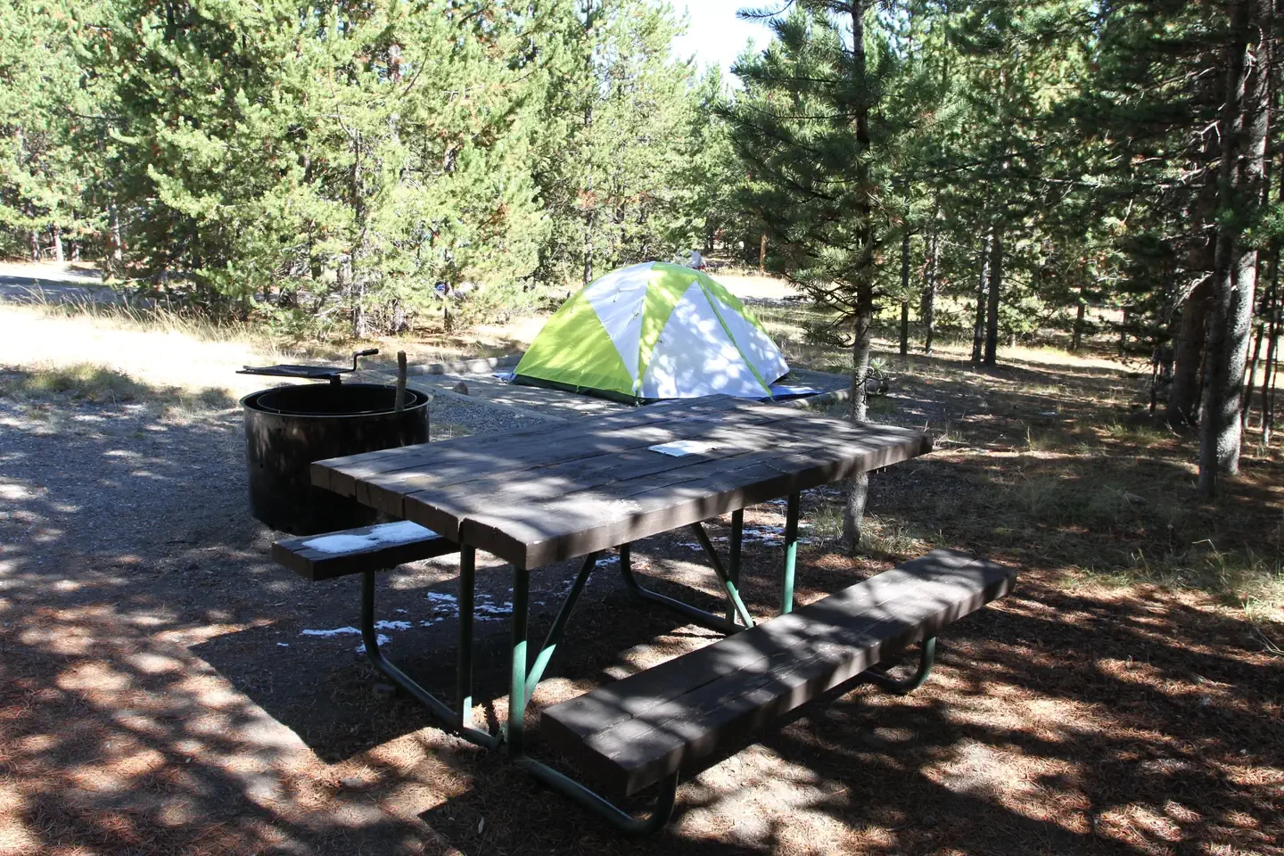 Indian Creek site #49