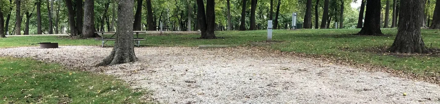 41