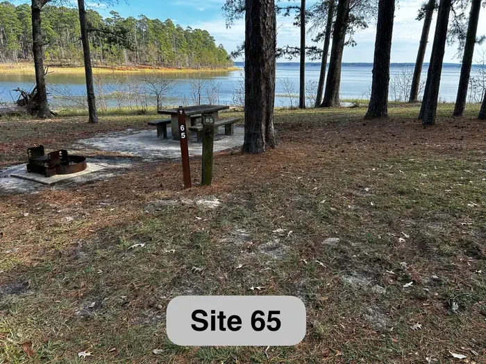 65
