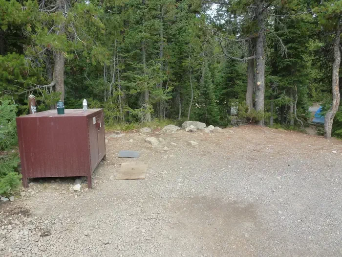 Lewis Lake site #19