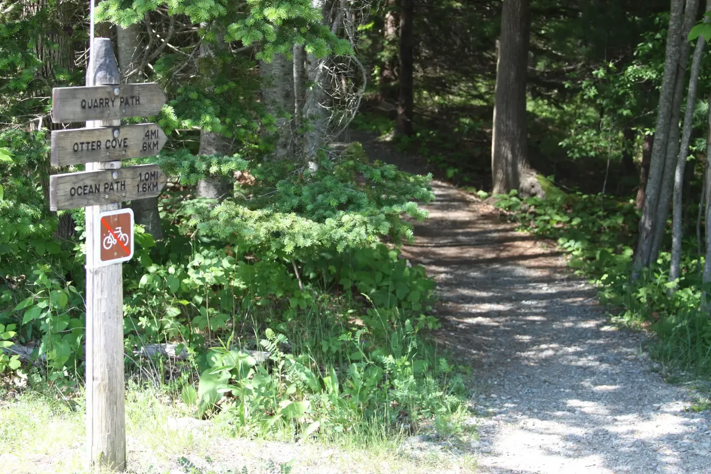 Blackwoods Campground