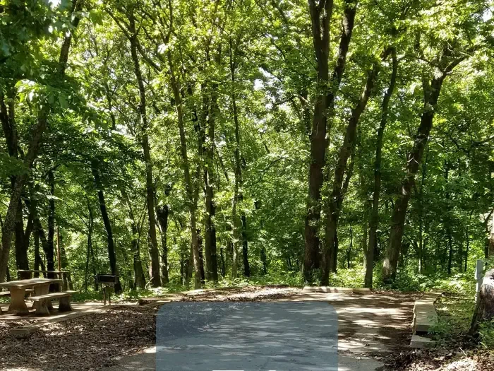 74