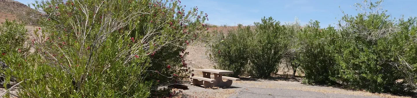 Site 16