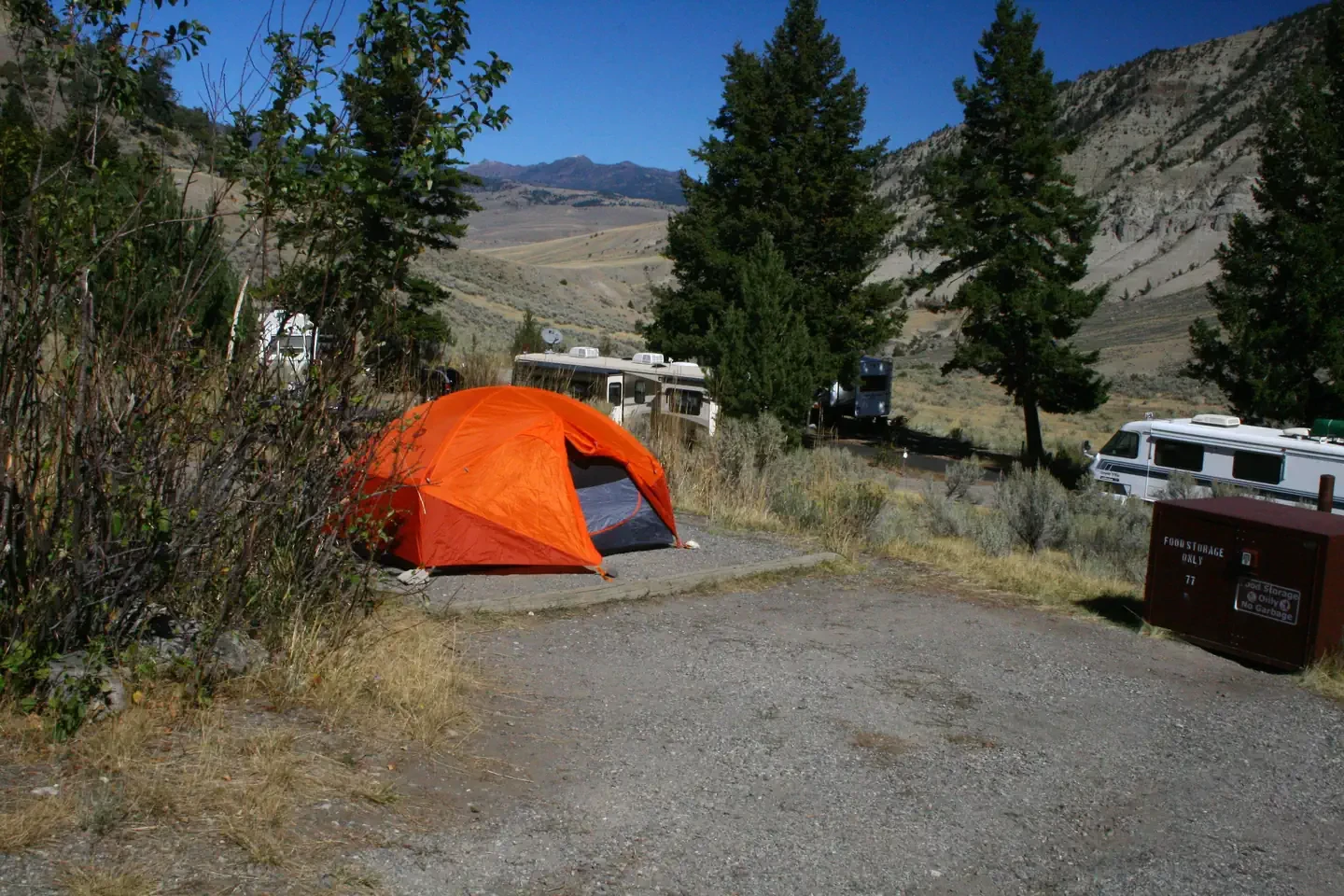 Mammoth site #77