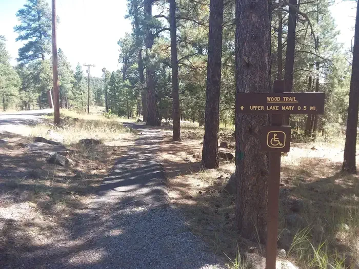 Lakeview Campground (AZ)