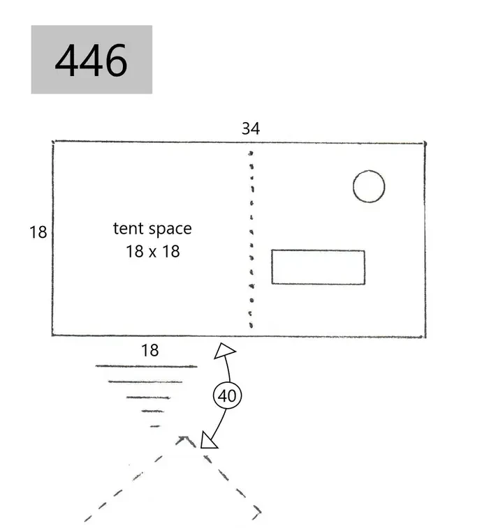 446