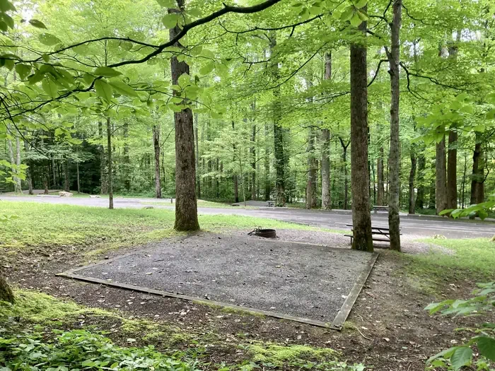A09