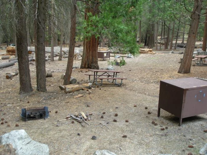 Site: 109
