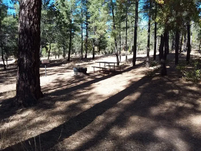 S10