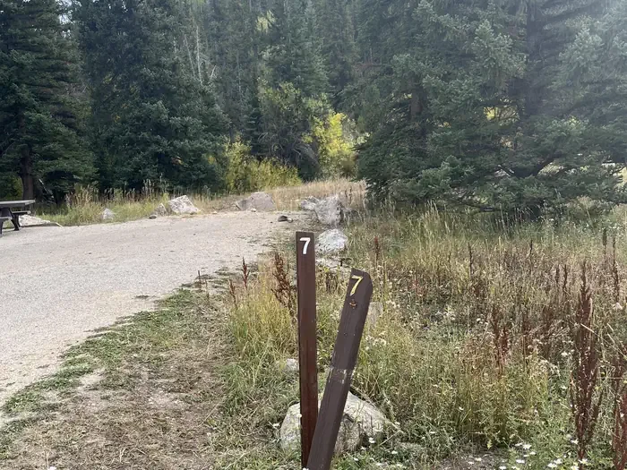 007