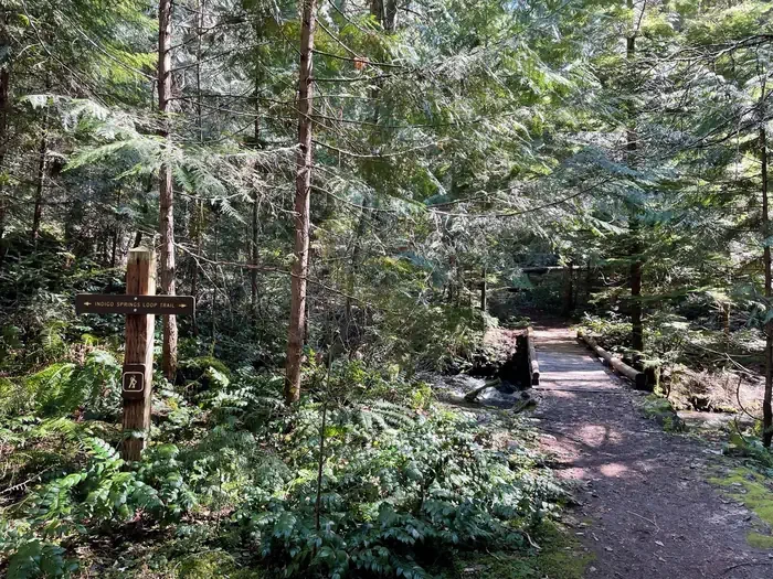 Indigo Springs