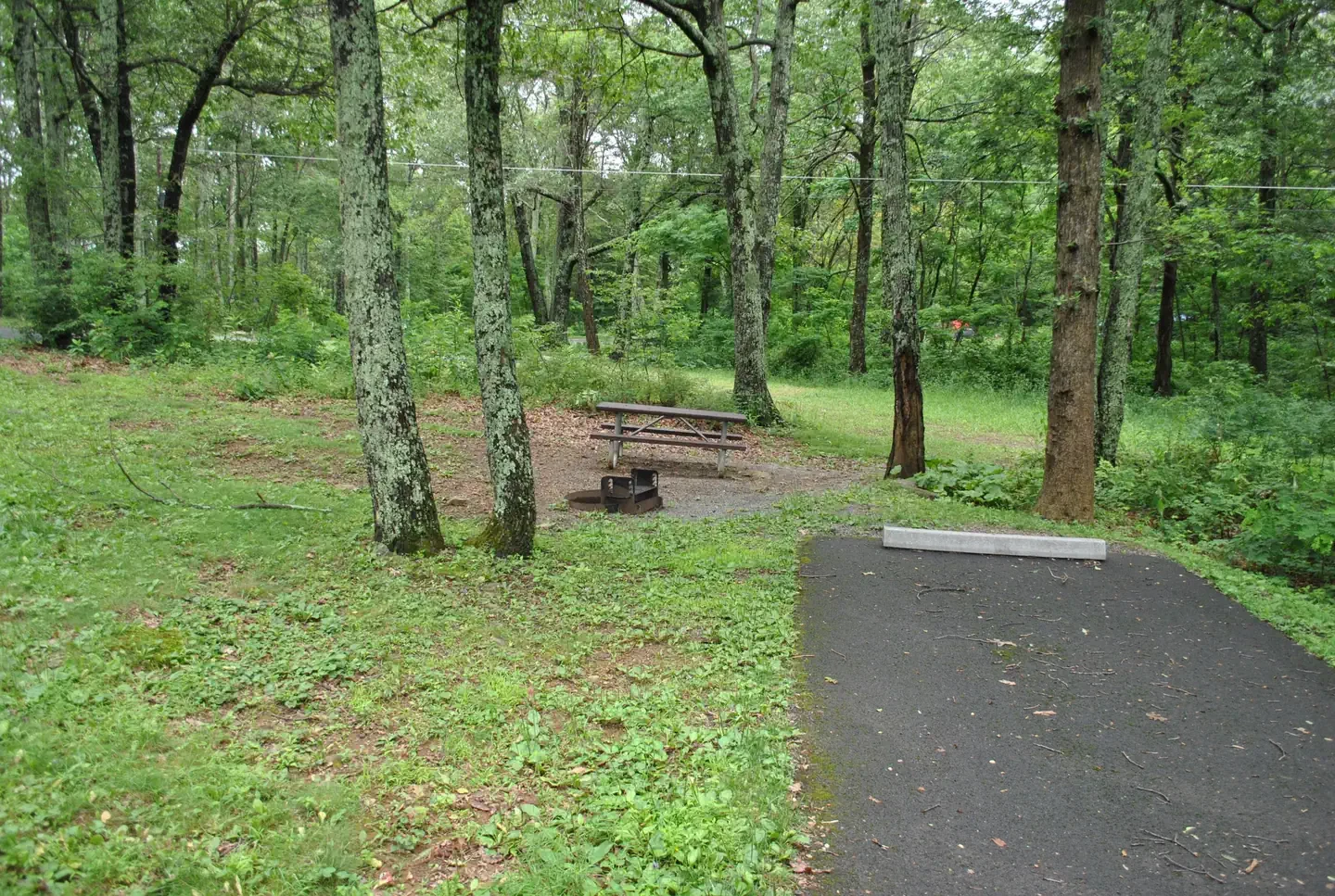 A065