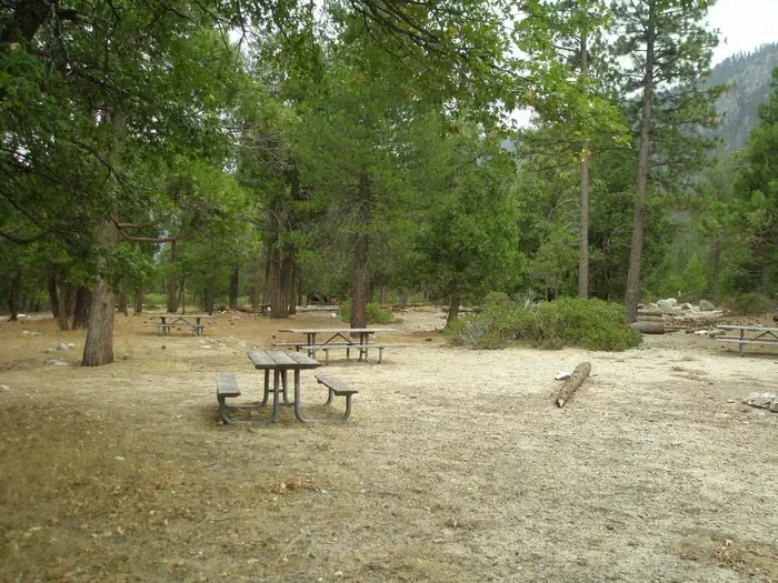 Site D