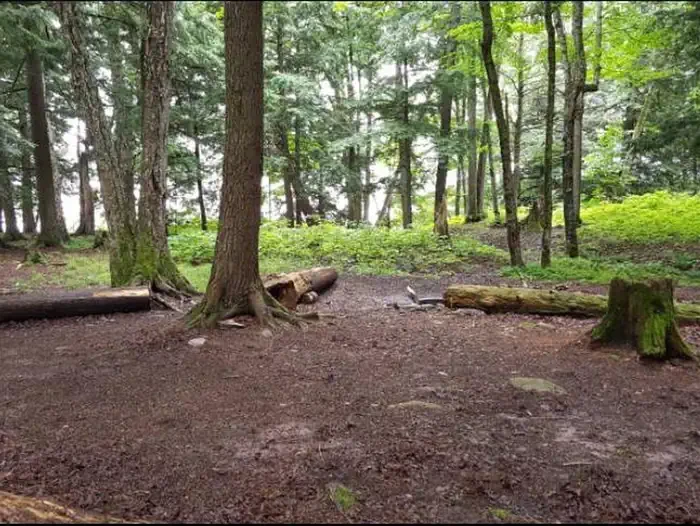 CEDAR-1