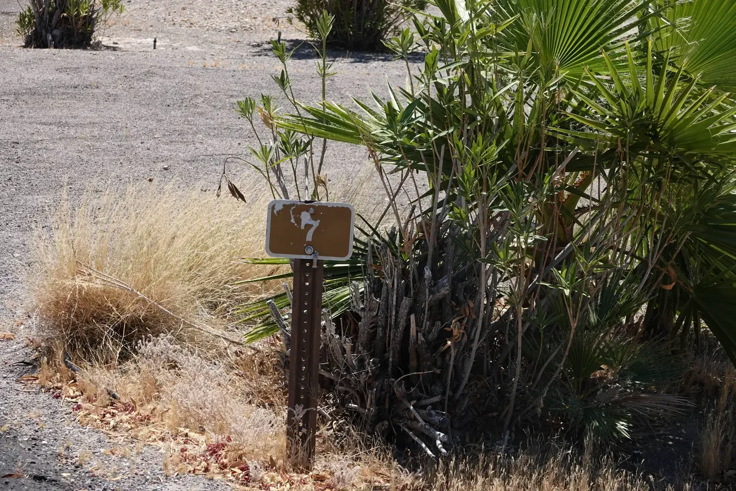 Site 7