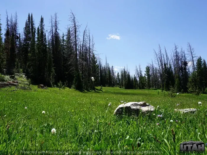 Lost Creek Campground