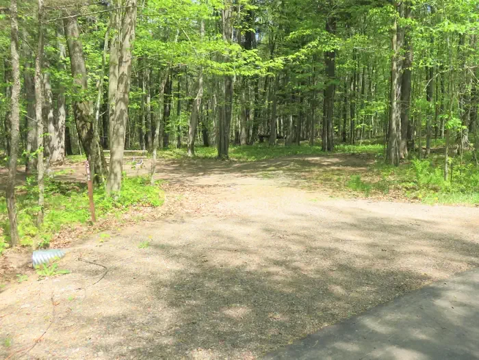 S62