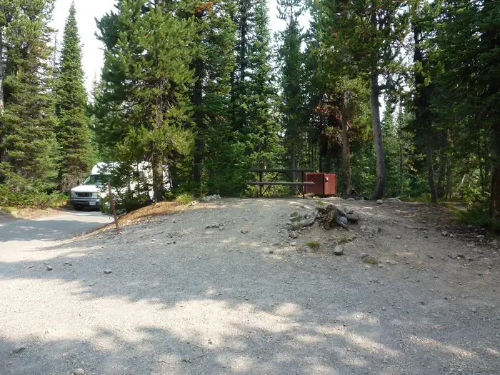 Lewis Lake site #78