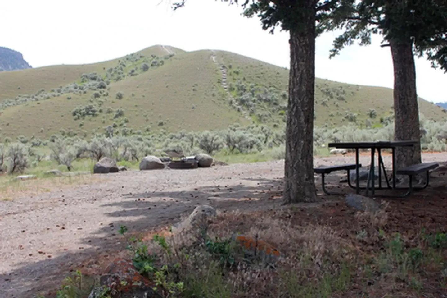 Mammoth Campground (Yellowstone)