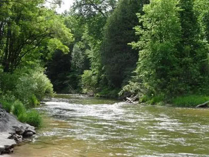 Pine National Scenic River Watercraft Permits (Huron Manistee)