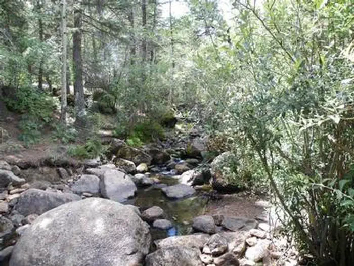 St Charles Campground - Lake Isabel