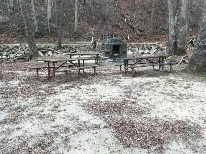 Picnic Grove 08 - 9:30AM to 1:30PM