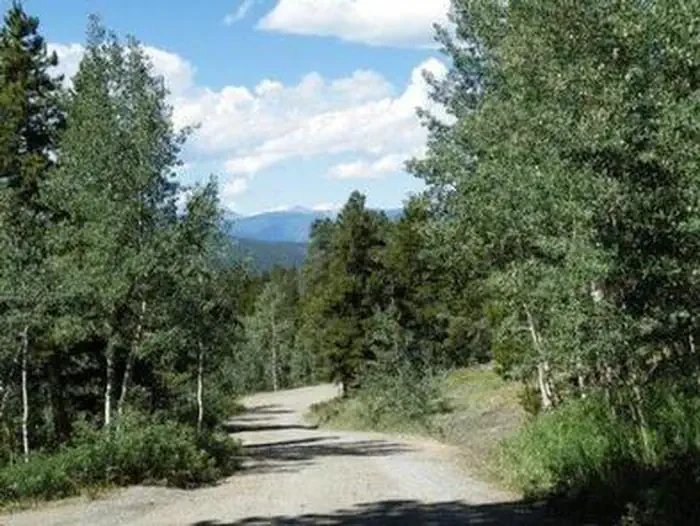 Cold Springs - Arapaho Roosevelt NF (CO)