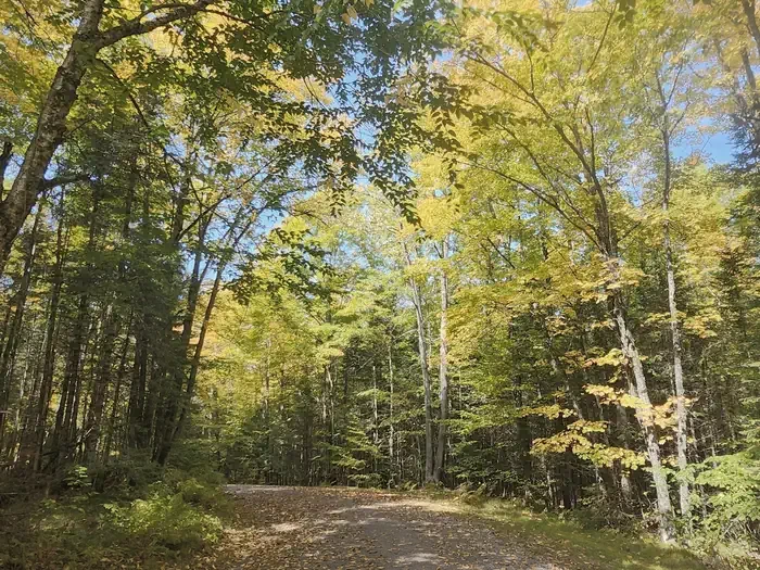 Beaver Lake (Chequamegon-Nicolet NF, WI)