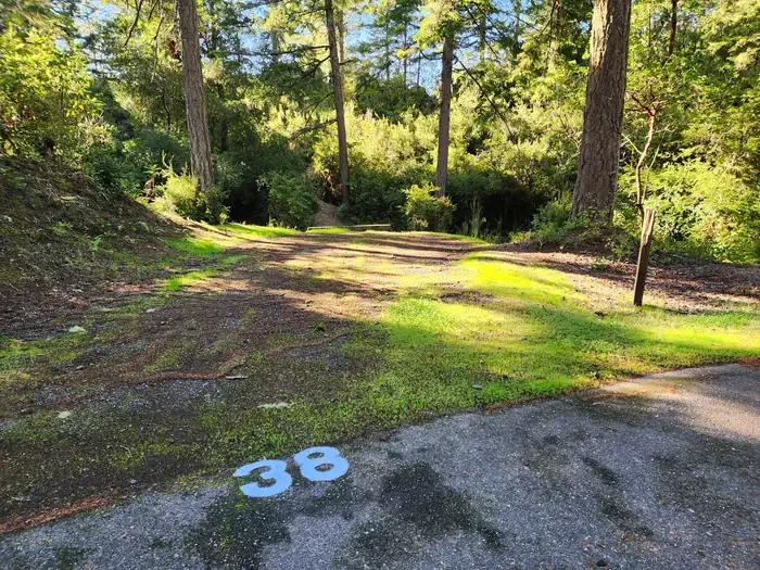38