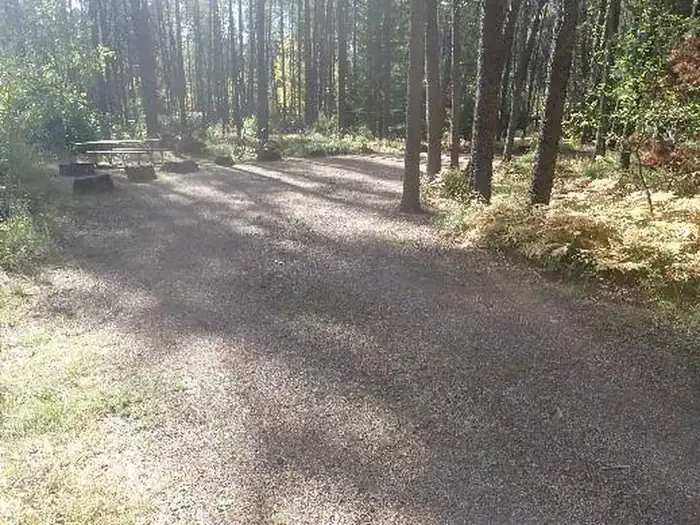 A64