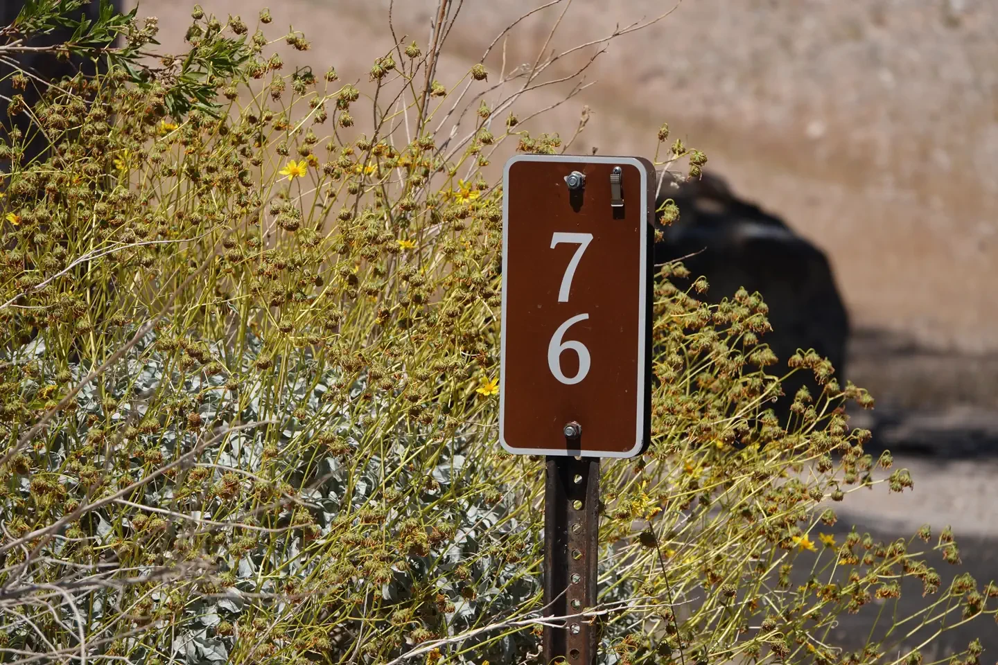 Site 76