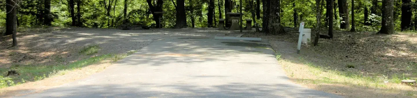D14
