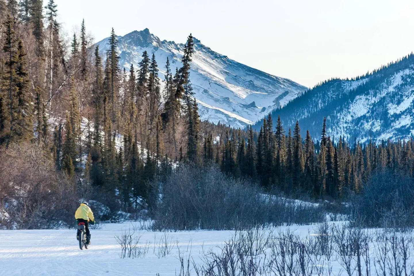 White Mountains National Recreation Area - Alaska Cabins