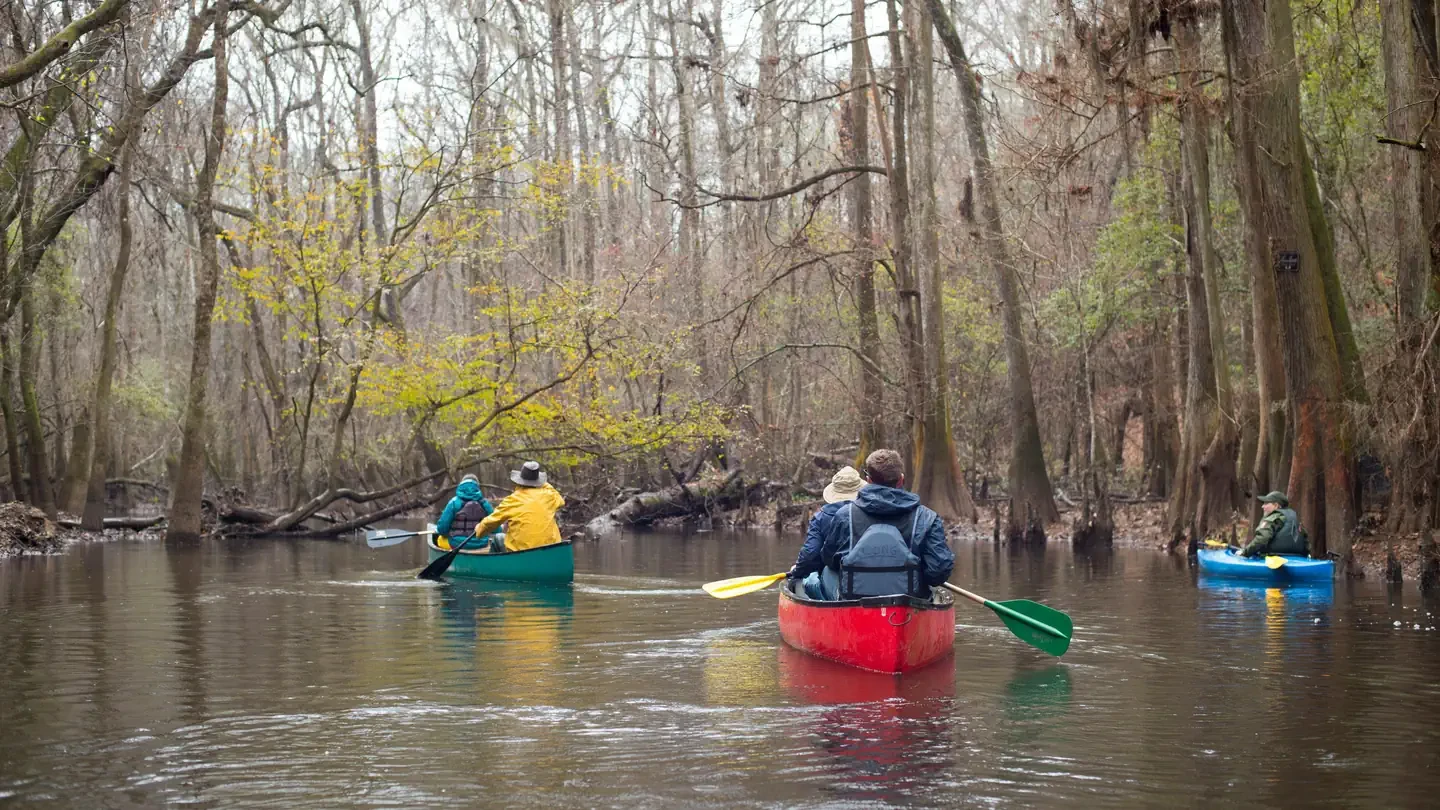Congaree National Park Ranger-Guided Canoe Tours