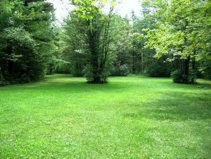 Potomac Group Campground